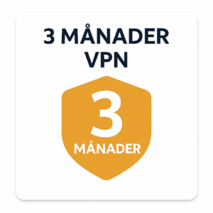 3 månader VPN
